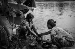 gutting and cleaning mackerels, Kainakeri village, Kerala, 2013