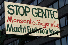 Bauern demonstrieren in Düsseldorf, dem Deutschen Sitz von Monsanto, gegen die Gentechnik / Genmais - Deutschland