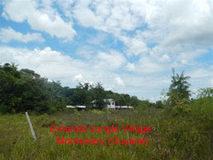Emerald Jungle Village