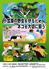 ポスター：小笠原の野生を守るためネコを大切に飼う