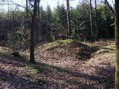 Seifenfeld oberhalb der Silbergruben 