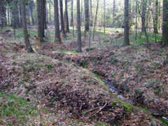 Seifenfeld oberhalb der Silbergruben 