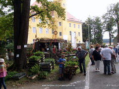 Bergbau- Traditionsverein Hohwald e.V.   -  400 Jahre Schloss Langburkersdorf