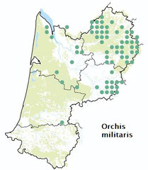 carte distribution Orchis militaris - Orchis militaire
