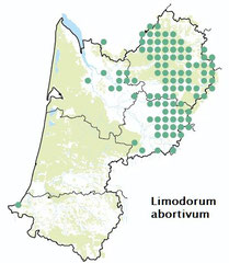 carte distribution Limodorum abortivum - Limodore à feuilles avortées