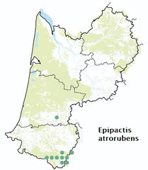 carte distribution Epipactis atrorubens - Epipactis pourpre