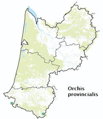 Carte distribution Orchis provincialis