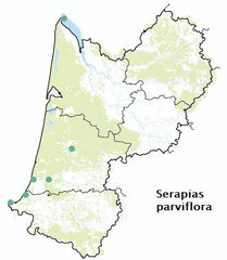 carte distribution Serapias parviflora - Sérapias à petites fleurs