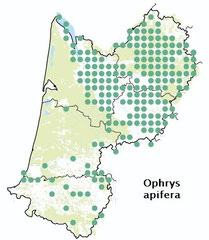 carte distribution Ophrys apifera - Ophrys abeille