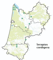 carte distribution Serapias cordigera - Sérapias en coeur