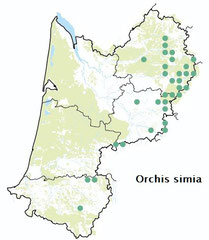 carte distribution Orchis simia - Orchis singe