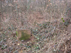 Der zweite Grabstein auf dem Lichtenberg, Foto: Thomas Schwab (10. März 2011)