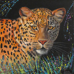 Leopardo acrilico su tela 50x50