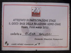 Stage "Il Gioco" 2011 Relatore: Maurizio Romanoni 