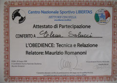 Stage Obedience 2009 Relatore: Maurizio romanoni