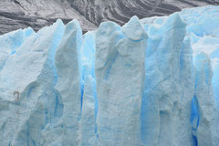 Glaciar Grey, Torres del Paine NP, Chile