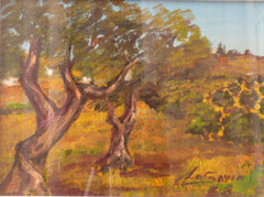 Campagna pugliese,   Olio su tela,   cm. 40 x 30