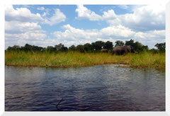 Bruno Deveze - Botswana - trek ©