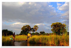 ©- Delta de l'Okavango - Bruno Deveze - Trek Botswana