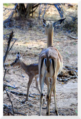 Bruno Deveze Namibie ©