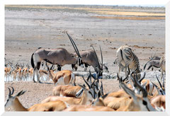 Bruno Deveze Namibie ©