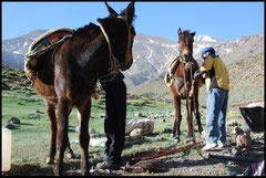 Maroc - Haut Atlas - M'Goun - Petit matin - 2009 ©BDeveze