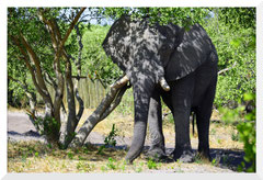 Bruno Deveze Botswana trek ©