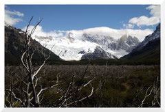 Patagonie Argentine - Bruno Deveze ©