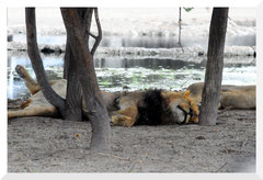 Bruno Deveze Namibie ©