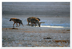 Bruno Deveze Namibie ©