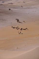 Sahara Mauritanie © Bruno Deveze