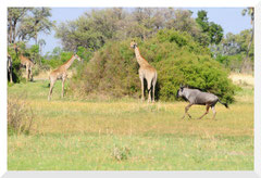 Bruno Deveze Namibie ©