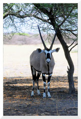 Bruno Deveze Namibie ©