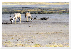 Bruno Deveze Namibie ©