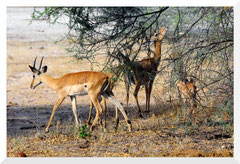 Bruno Deveze Namibie ©