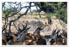 Bruno Deveze Botswana trek ©