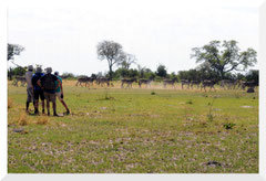 Bruno Deveze Botswana trek ©