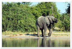 ©- Bruno Deveze - Trek Botswana