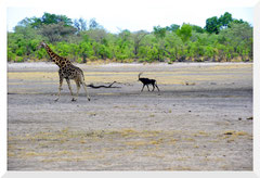 Bruno Deveze Botswana trek ©
