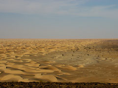 Sahara Mauritanie © Bruno Deveze