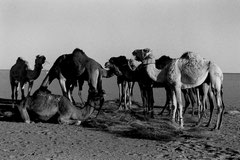 Algérie Tam - Djanet 620 km © Bruno Deveze