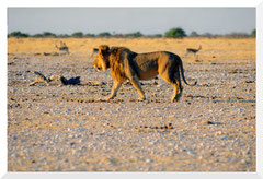 Bruno Deveze Namibie ©