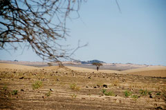 Mauritanie © Bruno Deveze