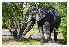 Bruno Deveze Botswana trek ©