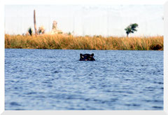 Bruno Deveze Botswana trek ©