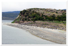 Patagonie Argentine - Bruno Deveze ©