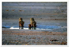 Bruno Deveze Namibie ©