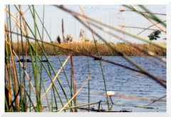 Bruno Deveze Botswana trek ©