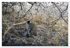 Bruno Deveze Namibie ©