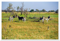 Bruno Deveze Botswana trek ©